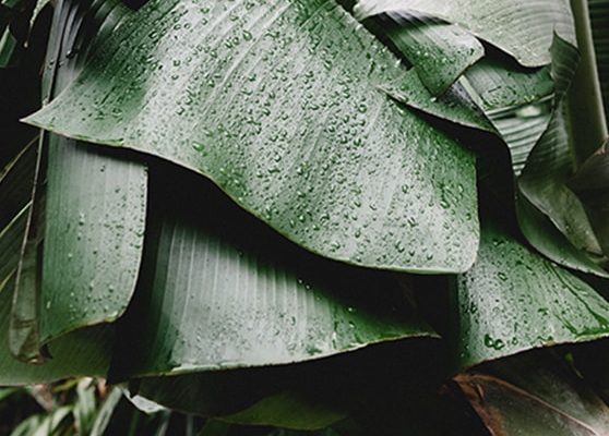 5 reasons to purchase desktop computers